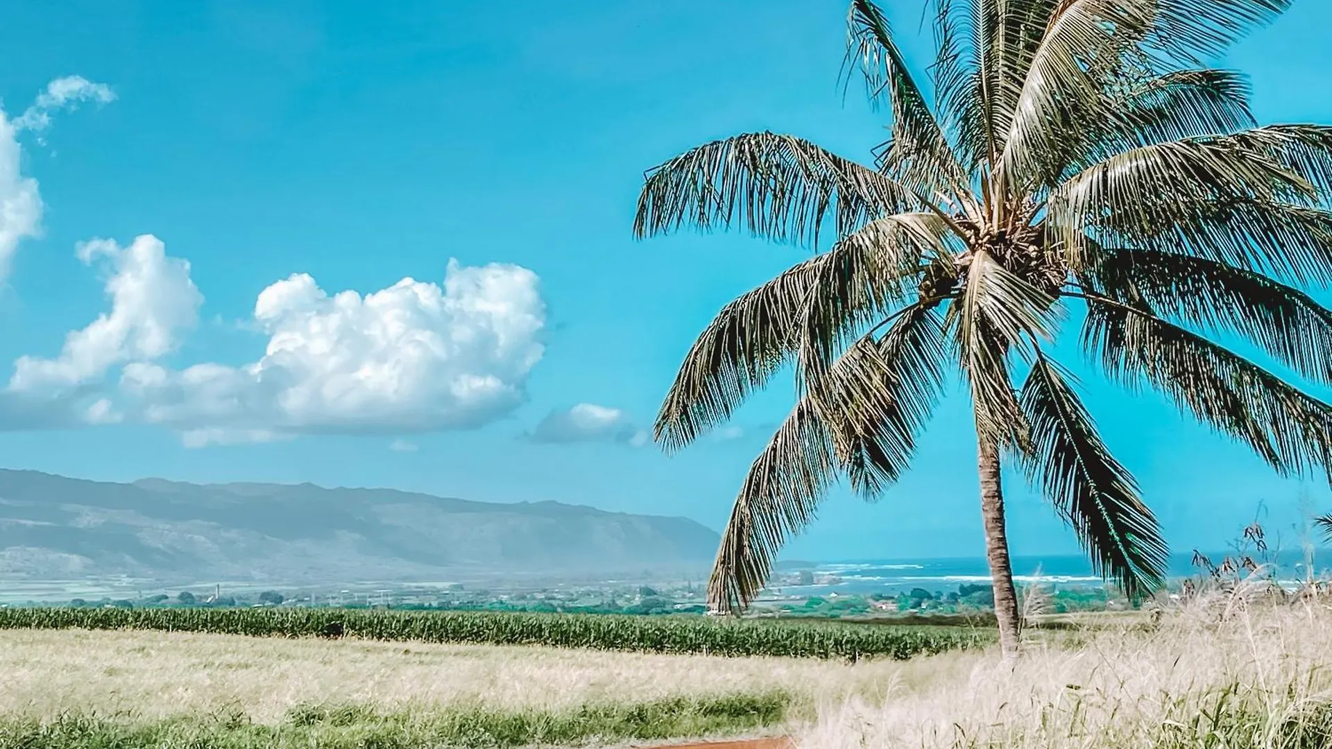 Glamping Off Grid Tent - 5 Min From Haleiwa!!! 0*, Haleiwa United States